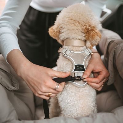 Thumbnail 11: HUNTER 2-in-1 Autositz und Reisebett Seoul 50 x 50 x 30, greige