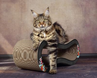 Thumbnail 4: cat-on SINGHA M Design Katzenmöbel, schwarz, Koi (035)