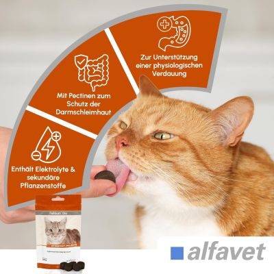 Thumbnail 3: alfavet FeliGum Dia 40 g