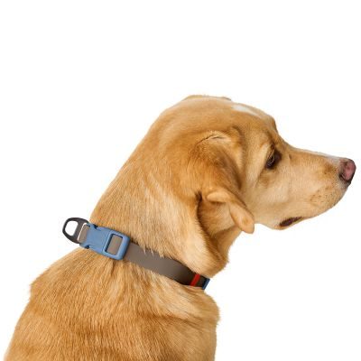 Thumbnail 2: HUNTER Halsung Havanna M, taupe/rauchblau