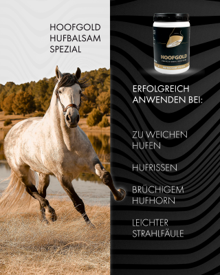 Thumbnail 6: Hoofgold HoofgoldHufbalsam SPEZIAL - mit ätherischen Ölen