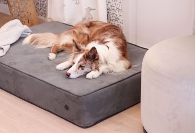 Thumbnail 6: ANUBIS orthopädische Hundematratze Kano Basalt M