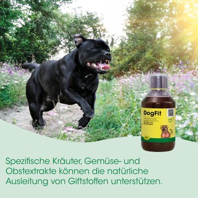Thumbnail 4: cdVet DogFit 250 ml – Natürliche Vitalstoffmischung für Leber, Nieren & Pigmentierung