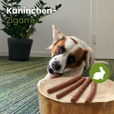 Thumbnail 2: kauartikel.com Kaninchen-Zigarre - Hunde-Kauartikel - Hunde-Snack - Hypoallergen-Kausnack - Hasen-Leckerli