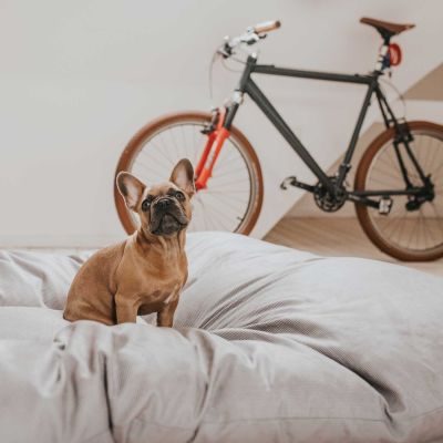 Thumbnail 11: HUNTER Hundebett Lancaster XXXL (175 x 145 cm), grau