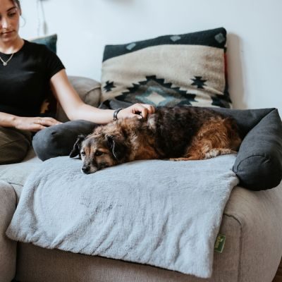 Thumbnail 7: HUNTER Polster-Schondecke Rockford XL (120 x 100 cm), anthrazit/hellgrau