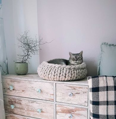 stylecats® Katzenbett Boogie M (50 x 50 cm), hellbraun/beige