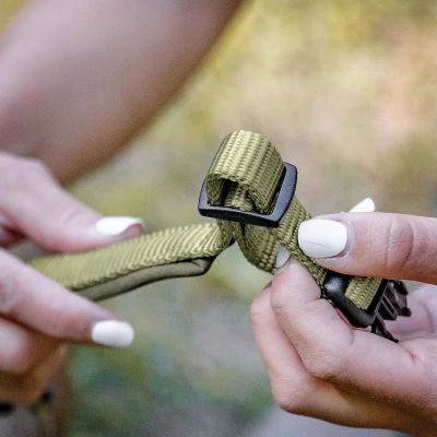 Thumbnail 5: Rudelkönig Hundehalsband Bella gepolstert, Robustes Hunde Halsband