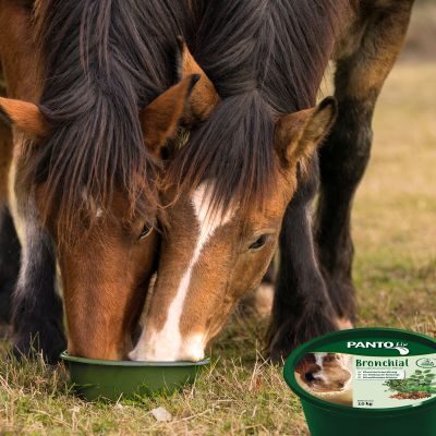Thumbnail 3: PANTO PANTO Lix Bronchial - Wohltuende Kräuterleckschale 10kg
