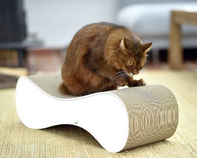 cat-on LE VER M Design Kratzmöbel, weiß mit Rand (000)