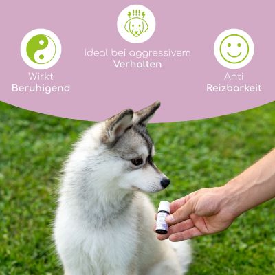 Thumbnail 8: Wolfsbacher Natur Bachblüten Globuli - Aggression