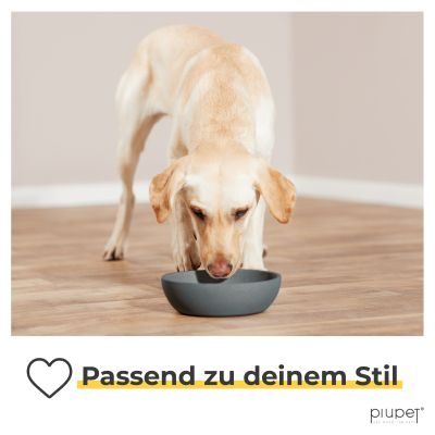 Thumbnail 4: PIUPET Futternapf und Wassernapf für Hunde I Spülmaschinenfest I für große Hunde I 21,5 cm Durchmesser I 2er Set I 1,6 L I Grau