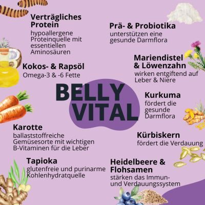 Thumbnail 5: BugBell Hundekekse mit Insekten für Magen & Darm