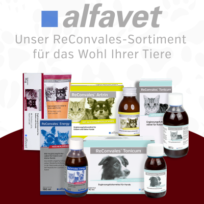 Thumbnail 4: alfavet ReConvales Power 140 g