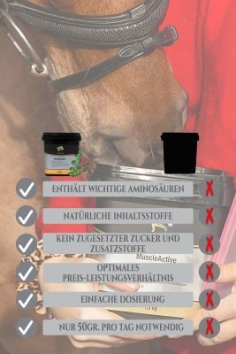 Thumbnail 4: Equanis MuscleActive - Muskelaufbau Pferd