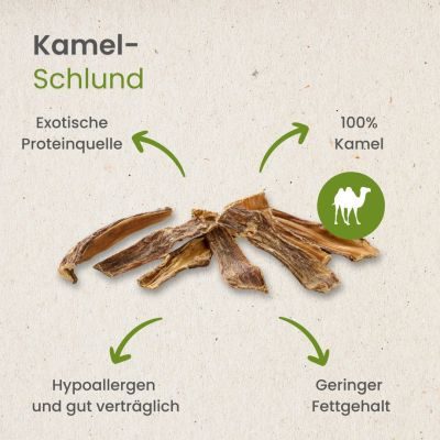 Thumbnail 4: kauartikel.com Kamel-Schlund - hypoallergener Hunde-Kauartikel - Hunde-Snack - Kausnack - Leckerli