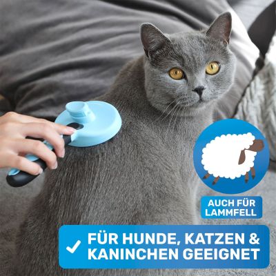 Thumbnail 4: BluePet Selbstreinigende Zupfbürste, Hundebürste & Katzenbürste für Langhaar, ZupfZeug mit Reinigungsknopf für die tägliche Anwendung im Fellwechsel