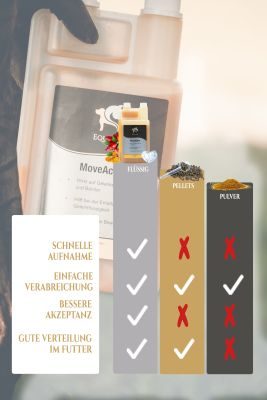 Thumbnail 4: Equanis MoveActive – Nährstoffe für die Gelenke