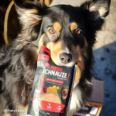 Thumbnail 5: bosch Tiernahrung Freshe Schnauze Rind&Hirse – proteinreiches Nassfutter – 250g