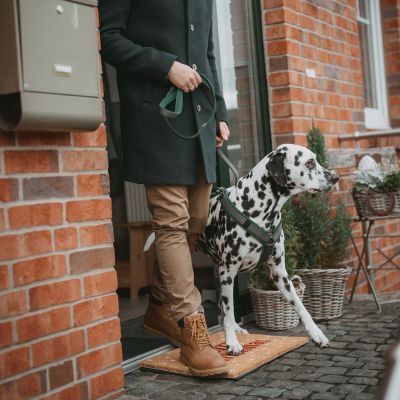 Thumbnail 13: HUNTER Geschirr Maldon Up mit Griff S-M, dunkelgrün/grau