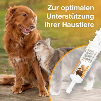 Thumbnail 5: alfavet DiaPaste PRO Prä- & Probiotika zur Stabilisierung der Verdauung – Leckere Paste mit Bentonit zur Unterstützung der Darmflora für Hunde und Katzen 60 ml Injektor