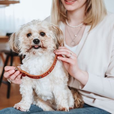 Thumbnail 8: HUNTER Halsband Aalborg Hearts XS (32), cognac