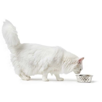 Thumbnail 7: HUNTER Edelstahlnapf Namy XXXL (3800 ml)