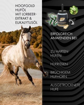 Thumbnail 5: Hoofgold Huföl für Pferde mit Pinsel - zur täglichen Hufpflege bei sprödem und brüchigem Horn - 500 ml