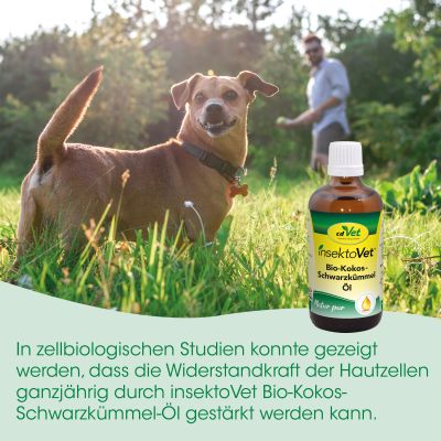 Thumbnail 3: insektoVet® Bio-Kokos-Schwarzkümmel-Öl 100 ml - Natürliches Ergänzungsfuttermittel für Hunde mit hochwertigen Bio-Ölen