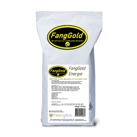 FangGold Energie mit 38% Lachs 15 kg
