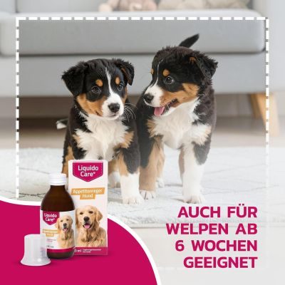 Thumbnail 5: LiquidoCare Appetitanreger für den Hund - hochkalorisches Tonikum mit Vitaminen & Mineralstoffen – für schlecht fressende, untergewichtige Hunde 180 ml