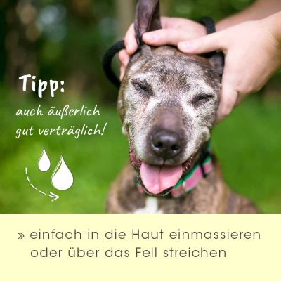 Thumbnail 3: cdVet insektoVet Bio-Kokos-Schwarzkümmel-Öl 100 ml für Hunde – BIO Ergänzungsfuttermittel