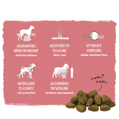 Thumbnail 5: bosch Tiernahrung HPC Lamm & Reis Hundefutter – leicht verdaulich – 1kg