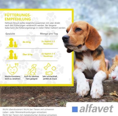 Thumbnail 1: alfavet FeliGum Struvit 160 g