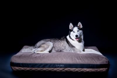 Thumbnail 2: ANUBIS orthopädisches Hundekissen Kitana Nougat L