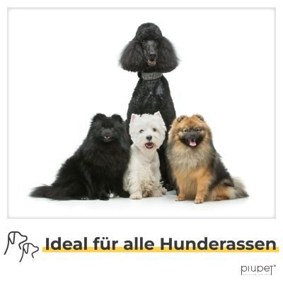 Thumbnail 5: PIUPET Hundeleine 2m | 3-Fach Längenverstellbar | Für Große, Kleine und Mittelgroße Hunde | Leine I Beige