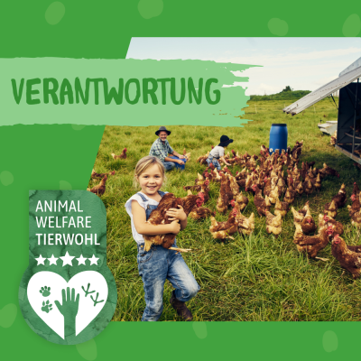 Thumbnail 3: Dokas Hühnerbrust in Stückchen Hundeleckerlis getreidefrei 7x 170g Multipack