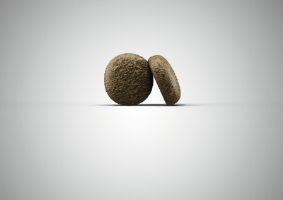 Thumbnail 4: Josera Lachs & Kartoffel – getreidenfreies Hundefutter – 5x900g