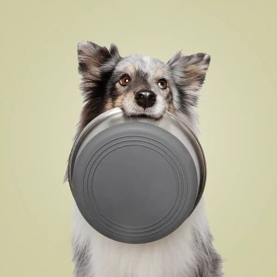 Thumbnail 5: Rudelkönig Edelstahlnapf 2x 900ml Napfset Hundenapf, Futternapf rutschfest