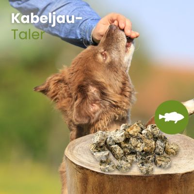 Thumbnail 2: kauartikel.com Kabeljau-Taler - Hunde-Kauartikel - Hunde-Snack - Kausnack - Fisch-Leckerli