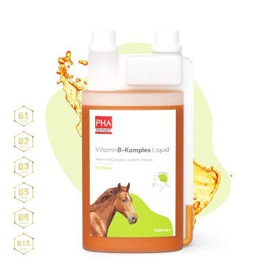 PHA PHA VitaminB- Komplex Liquid