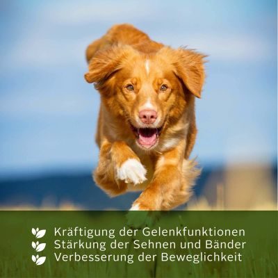 Thumbnail 1: TJURE TJURE - Gelenk Liquid - 250 ml | optimale Unterstützung für die Gelenke | Kräftigung der Gelenkfunktionen |