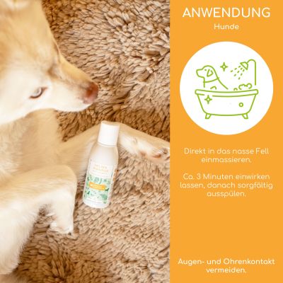 Thumbnail 7: Wolfsbacher Natur Picco Bello - Welpen-Shampoo