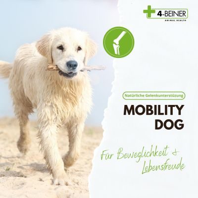 Thumbnail 4: 4-Beiner PetVet - 4-BEINER MOBILITY-DOG - Nahrungsergänzung - Futterergänzung für Hunde