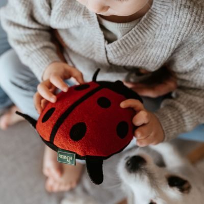 Thumbnail 4: HUNTER Hundespielzeug Florenz, Marienkäfer 20 cm