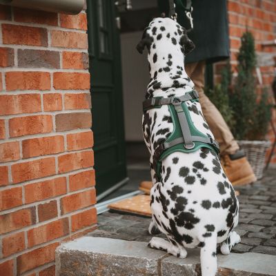 Thumbnail 12: HUNTER Geschirr Maldon Up mit Griff S-M, dunkelgrün/grau