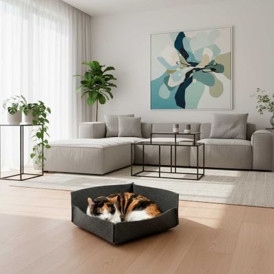 Thumbnail 2: stylecats® Katzenbett Groovie halboffen XS (35 x 35 cm), anthrazit