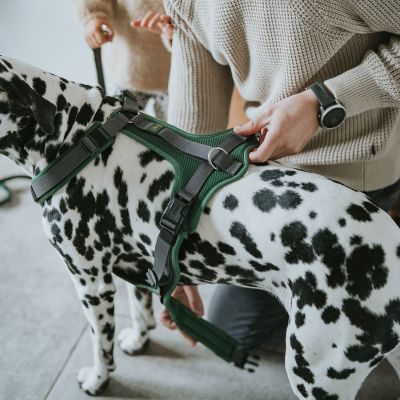 Thumbnail 5: HUNTER Geschirr Maldon Up mit Griff S-M, dunkelgrün/grau