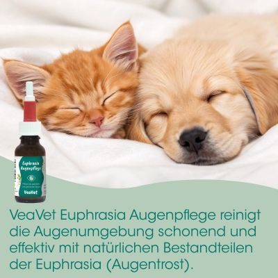Thumbnail 2: cdVet VeaVet Euphrasia Augenpflege 20 ml – Natürliche Reinigung der Augenumgebung bei Tieren