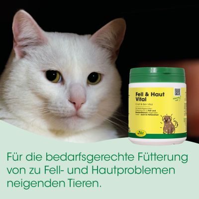 Thumbnail 3: cdVet Fell & Haut Vital Hund & Katze 400 g